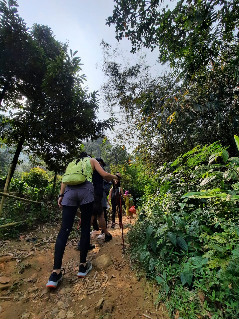 jalur trekking